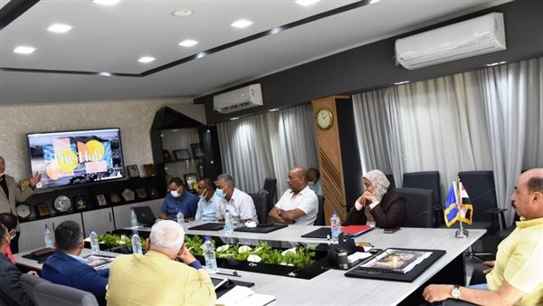 محافظ أسوان