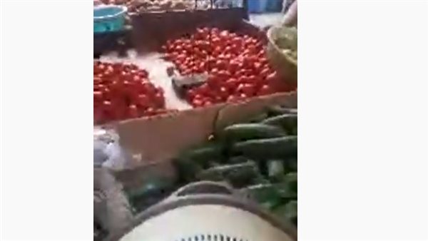 أسعار الخضروات 