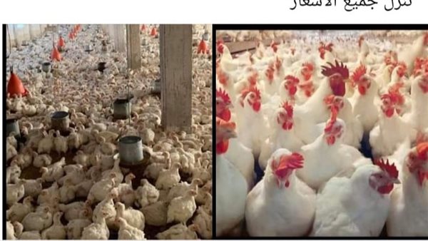 حملة لمقاطعة شراء