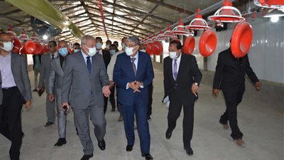 محافظ المنيا يبحث مع رئيس هيئة تنمية الصعيد زيادة إنتاجية المشروعات