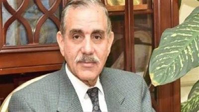 محافظ كفر الشيخ يجازي 4 مسئولين في واقعة إغماء طالب بمدرسة ميت علوان