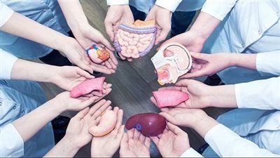 مواطن يوثق تبرعه بالأعضاء بعد الوفاة: الإجراءات سهلة.. ومش هستفيد بحاجة من جسمي بعد موتي