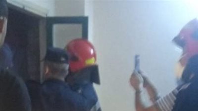 الحماية المدنية تنقذ قطة سقطت في منور برج سكني بطنطا 