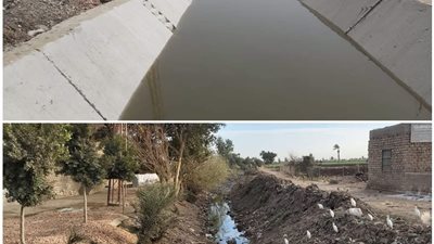 الري: الانتهاء من تأهيل ترع بأطوال 2868 كيلومتر │ صور