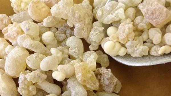 فوائد تناول اللبان