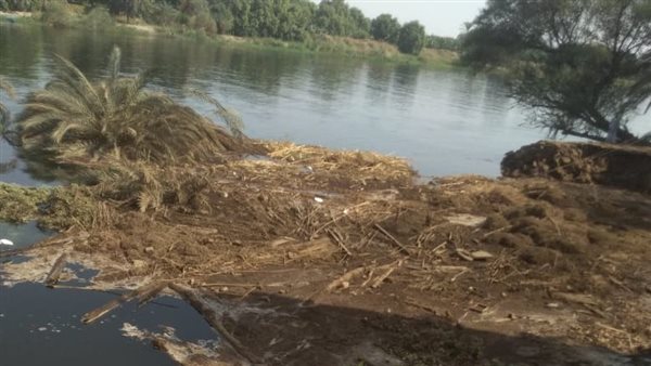 جزيرة القنادلة