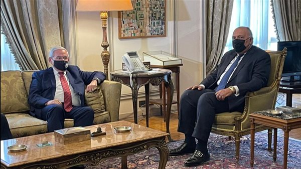 شكري ومبعوث الأمم