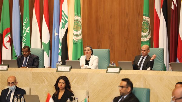 الدكتورة ياسمين فؤاد