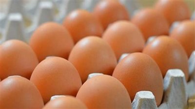 استقرار أسعار البيض اليوم الأربعاء 4-10-2023