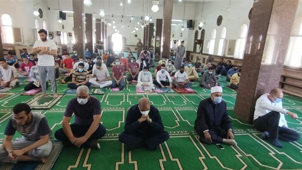 الدكتور محمد المحرصاوي