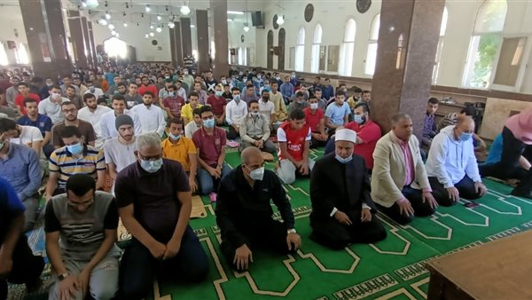 الدكتور محمد المحرصاوي