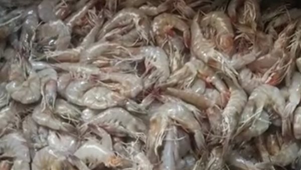 جمبري منتهي الصلاحية