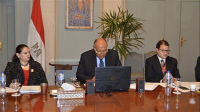 وزير الخارجية: جائحة كورونا أتاحت الفرصة أمام الدول الإفريقية لتعزيز التعاون فيما بينها