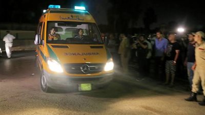 مشادة كلامية تنتهي ببتر ذراع فسخاني بكفر الشيخ 