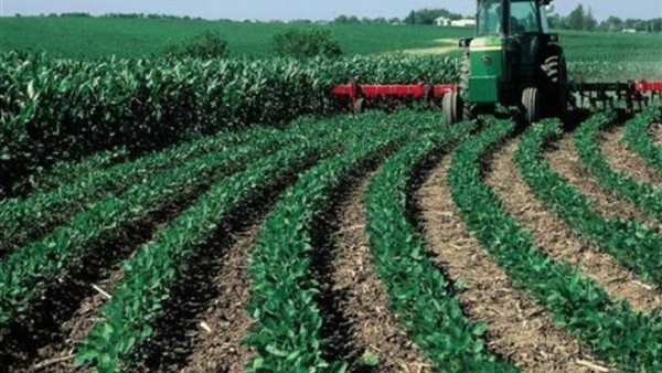 تفتيت الحيازة 