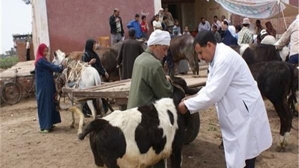 قافلة بيطرية بأسيوط