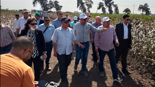 رئيس مركز البحوث