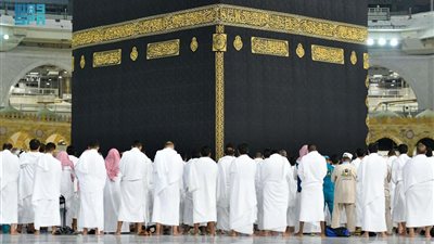 الحج والعمرة: الصلاة في الروضة الشريفة تستلزم تصريحا من تطبيق نسك