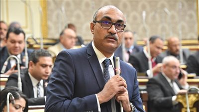 برلماني: مشروع قانون للمحليات يعطي السلطة الرقابية لـ 55 ألف مواطن 