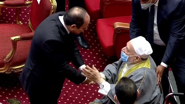 الرئيس السيسي يصافح