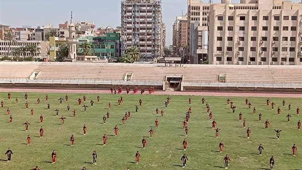 العروض الفنية 