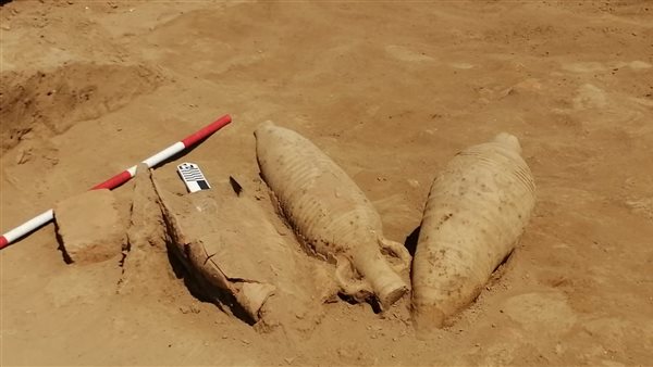 الكشف عددًا من الأمفورات