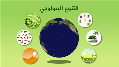 زيادة 200 مليار دولار لدعم الدول النامية.. أبرز ملامح اتفاقية التنوع البيولوجي بعد 2020