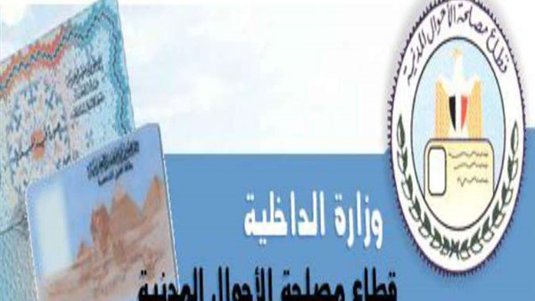 القاهرة 24