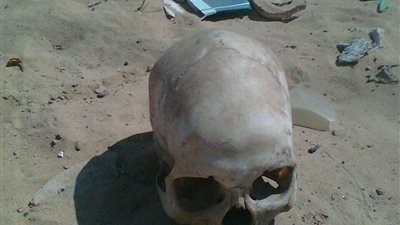 جمجمة تعيد تاريخ البشرية لنحو 210 ألف سنة