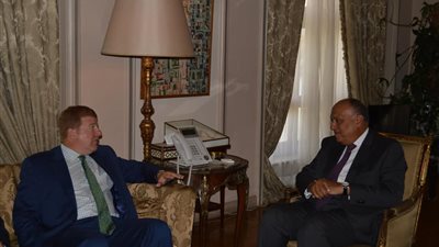 وزير الخارجية سامح شكري يستقبل نائب رئيس غرفة التجارة الأمريكية