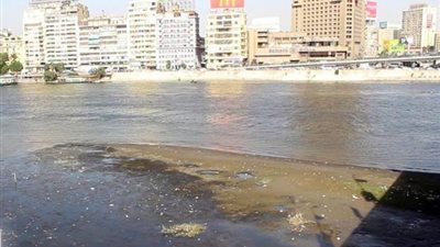 الري: توقعات بانخفاض إيراد النيل 5 مليار متر مكعب عن العام الماضي