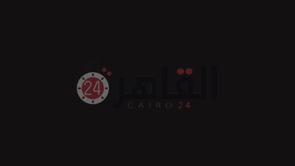 القاهرة 24