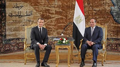 السيسي يؤكد للرئيس الفرنسي دعم مصر للجيش الوطني الليبي في معركته ضد الإرهاب
