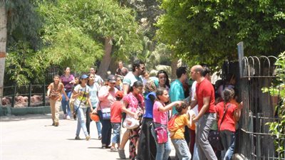حديقة الحيوان تستقبل المواطنين في أول أيام عيد الأضحى المبارك.. وسعر التذكرة 5 جنيهات (صور)