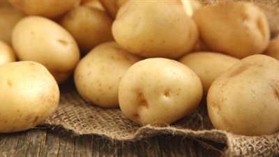 حقيقة استخدام مواد كيميائية ضارة في تخزين تقاوي البطاطس