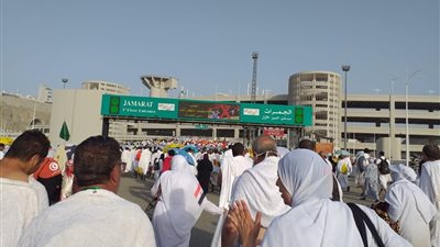 التضامن الاجتماعي: غدًا بدء تفعيل الجسر الجوي لعودة الحجاج المصريين