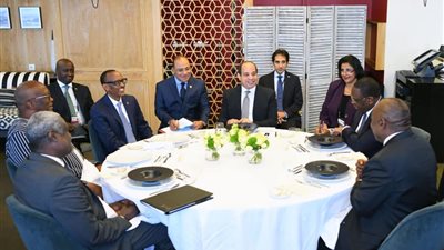 السيسى: قضايا البيئة وتحدياتها تحتل حيزًا كبيرا من اهتماماتنا اليومية