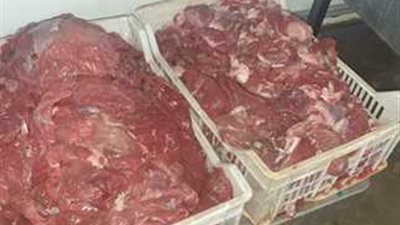 ضبط لحوم منتهية الصلاحية داخل مطعم شهير بشرق الإسكندرية