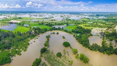 انطلاق بعثة مصدري الغذاء إلى كينيا لبحث سبل زيادة الصادرات الإثنين المقبل