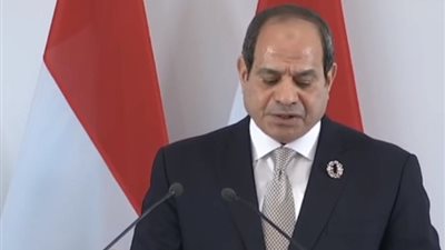 الرئيس السيسي: مصر لها دور تاريخي في دعم القضية الفلسطينية.. ونعمل على حل الدولتين