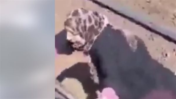  سيدة اللحاق بالقطار