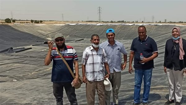 خلية للدفن الصحى