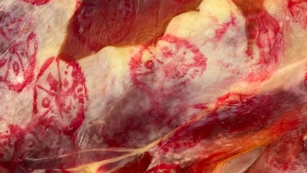 ضبط 229 كيلو دواجن