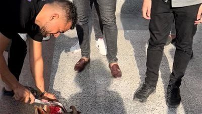 بعد مشاجرة بين طالبين.. والد المعتدي يذبح خروفا أمام جامعة 6 أكتوبر لإنهاء الخصومة