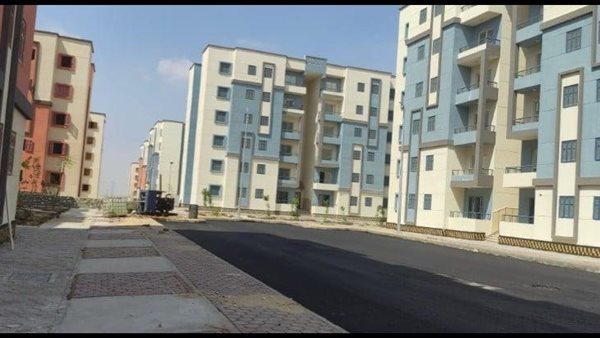 مشروع زهور مايو الجديد