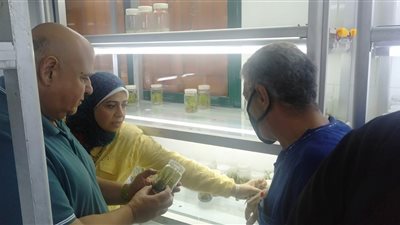 معهد بحوث أمراض النباتات يعلن افتتاح معمل لزراعة الأنسجة بمركز البحوث الزراعية