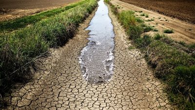 العالمية للأرصاد الجوية: 118 مليون إفريقي يتعرضون للجفاف والحرارة الشديدة بحلول 2030