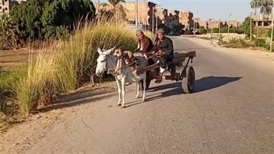 صوروه فيديو وقلبوله العربية.. تفاصيل القبض على المتهمين بالتنمر على صاحب كارو بالبحيرة