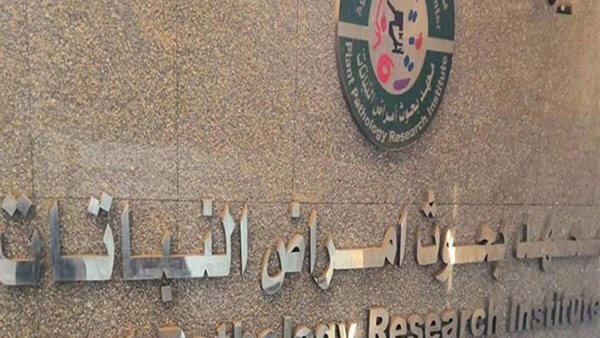 معهد بحوث أمراض النباتات