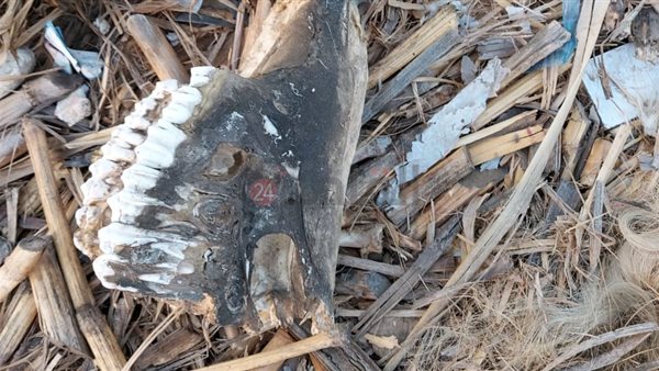 العثور على أجزاء